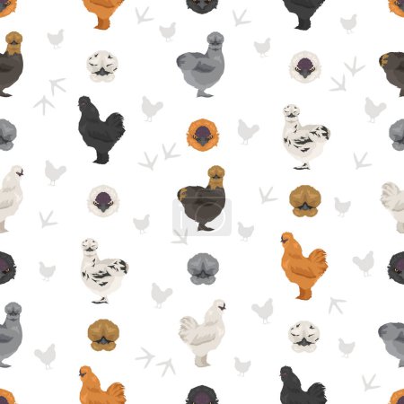 Ilustración de Silkie Chicken cría un patrón perfecto. Aves y animales de granja. Diferentes colores. Ilustración vectorial - Imagen libre de derechos