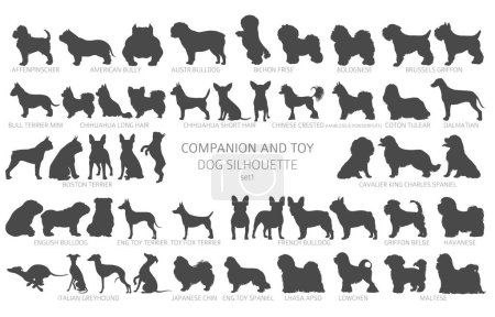 Perro razas siluetas, estilo simple clipart. Colección de perros de compañía y juguetes. Ilustración vectorial
