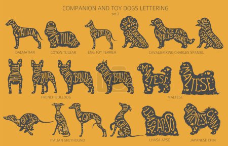 Illustration for Dog breeds silhouettes with lettering, simple style clipart. Companion dogs and toy dogs collection.  Vector illustration - Royalty Free Image