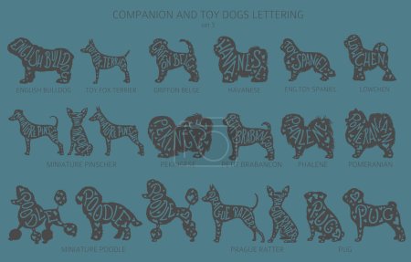 Illustration for Dog breeds silhouettes with lettering, simple style clipart. Companion dogs and toy dogs collection.  Vector illustration - Royalty Free Image