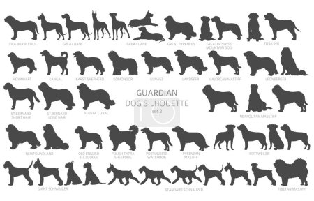 Dog breeds silhouettes, simple style clipart. Guardian dogs and service dog collection.  Vector illustration