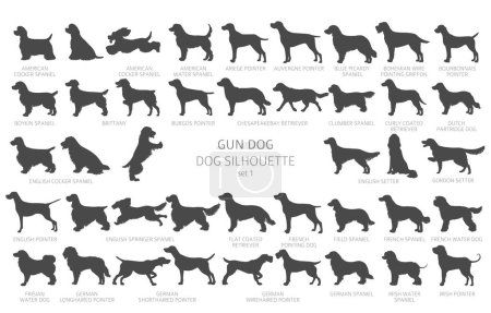 Dog breeds silhouettes, simple style clipart. Hunting dogs, Gun dogs collection.  Vector illustration