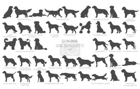 Dog breeds silhouettes, simple style clipart. Hunting dogs, Gun dogs collection.  Vector illustration