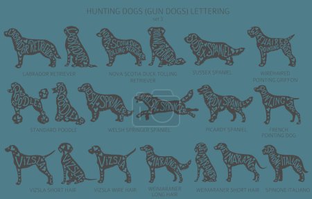 Illustration for Dog breeds silhouettes with lettering, simple style clipart. Hunting dogs and Gun dog collection.  Vector illustration - Royalty Free Image