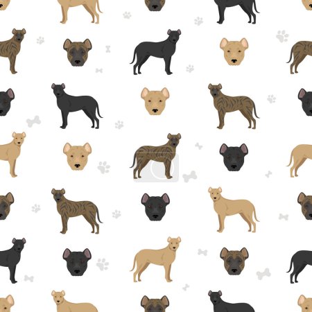 Illustration for Uruguayan Cimarron seamless pattern. All coat colors set.  All dog breeds characteristics infographic. Vector illustration - Royalty Free Image