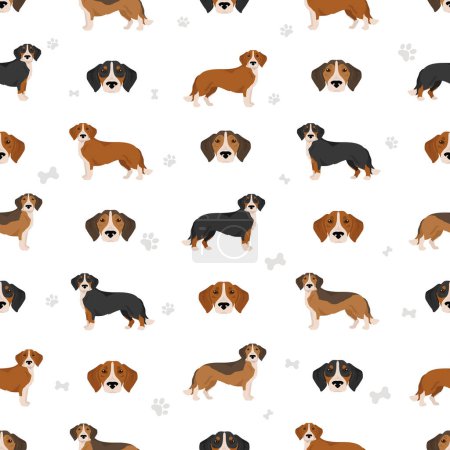 Illustration for Westphalian dachsbracke seamless patternclipart. All coat colors set.  All dog breeds characteristics infographic. Vector illustration - Royalty Free Image