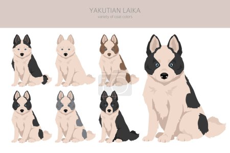 Illustration for Yakutian Laika  puppy clipart. Different poses, coat colors set.  Vector illustration - Royalty Free Image