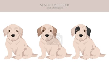 Téléchargez les photos : Sealyham terrier chiots clipart. Différentes poses, couleurs de manteau réglées. Illustration vectorielle - en image libre de droit
