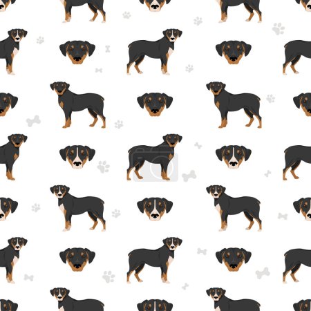Illustration for Smaland Hound seamless pattern. All coat colors set.  All dog breeds characteristics infographic. Vector illustration - Royalty Free Image