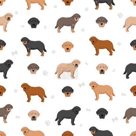 Illustration for Spanish Mastiff coat colors, different poses seamless pattern.  Vector illustration - Royalty Free Image
