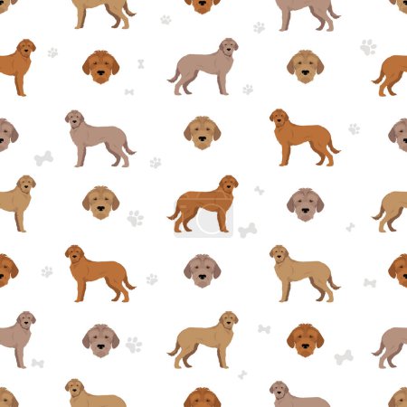 Illustration for Styrian corse-haired hound seamless pattern. All coat colors set.  All dog breeds characteristics infographic. Vector illustration - Royalty Free Image