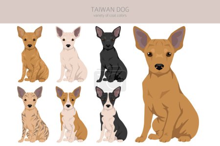 Ilustración de Clipart de cachorros de perro Taiwán. Distintas poses, colores del abrigo establecidos. Ilustración vectorial - Imagen libre de derechos