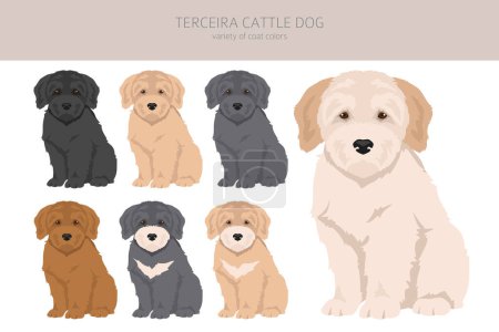 Ilustración de Terceira Ganado cachorros perro clipart. Distintas poses, colores del abrigo establecidos. Ilustración vectorial - Imagen libre de derechos