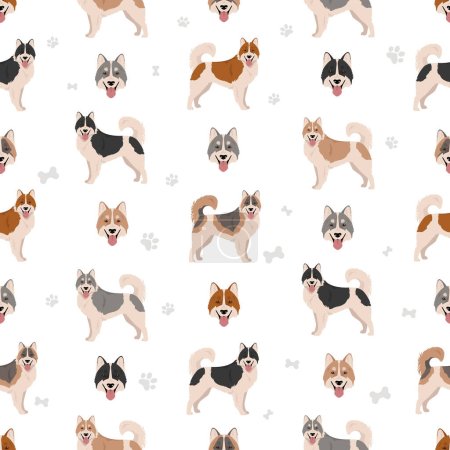 Téléchargez les illustrations : Thai Bangkaew chien motif sans couture. Toutes les couleurs de manteau ensemble. Toutes les races de chiens caractéristiques infographie. Illustration vectorielle - en licence libre de droit