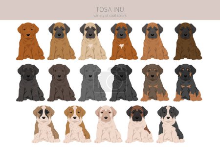 Ilustración de Clipart de cachorros Tosa Inu. Distintas poses, colores del abrigo establecidos. Ilustración vectorial - Imagen libre de derechos