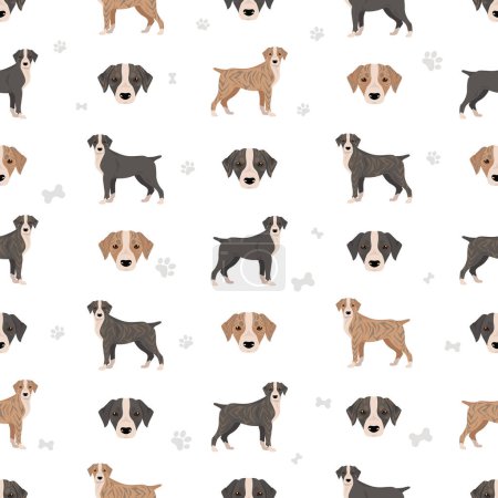 Illustration for Treeing Cur seamless pattern. All coat colors set.  All dog breeds characteristics infographic. Vector illustration - Royalty Free Image