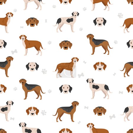 Illustration for Trigg Hound seamless pattern. All coat colors set.  All dog breeds characteristics infographic. Vector illustration - Royalty Free Image