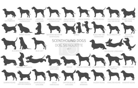 Dog breeds silhouettes with lettering, simple style clipart. Hunting dogs Scentounds, hounds collection.  Vector illustration