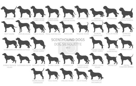 Dog breeds silhouettes with lettering, simple style clipart. Hunting dogs Scentounds, hounds collection.  Vector illustration
