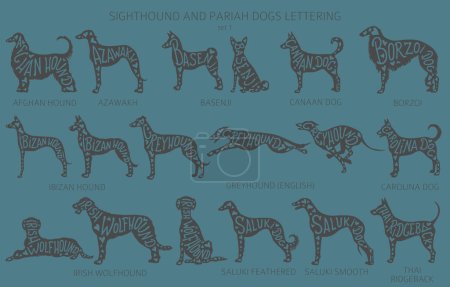Illustration for Dog breeds silhouettes with lettering, simple style clipart. Hunting dogs, sighthounds and pariah dogs collection.  Vector illustration - Royalty Free Image