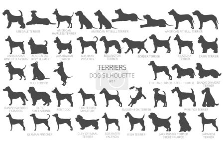Hunderassen Silhouetten, einfacher Stil Clipart. Jagdhunde, Terrier-Sammlung. Vektorillustration