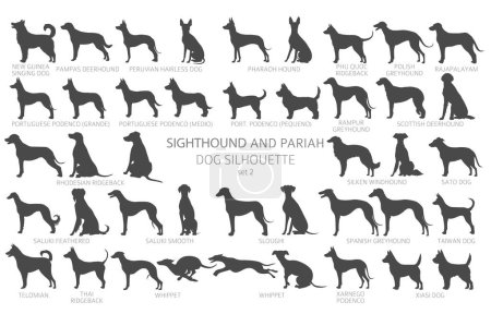 Dog breeds silhouettes simple style clipart. Hunting dogs Sightounds and pariah dogs collection.  Vector illustration