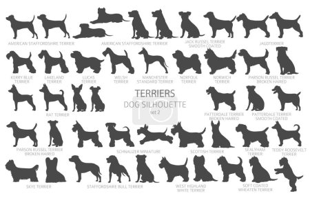 Illustration for Dog breeds silhouettes, simple style clipart. Hunting dogs, Terrier collection.  Vector illustration - Royalty Free Image