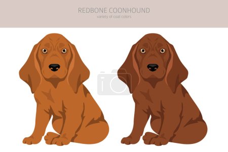 Téléchargez les photos : Redbone coonhound chiots clipart. Différentes poses, couleurs de manteau réglées. Illustration vectorielle - en image libre de droit