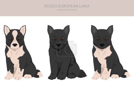 Téléchargez les photos : Clipart de chiot russo-européen Laika. Toutes les couleurs de manteau ensemble. Toutes les races de chiens caractéristiques infographie. Illustration vectorielle - en image libre de droit