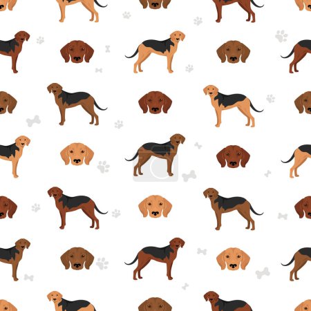 Illustration for Schiller Hound seamless pattern. All coat colors set.  All dog breeds characteristics infographic. Vector illustration - Royalty Free Image