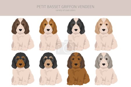 Ilustración de Petit Basset Griffon Vendeen cachorro clipart. Distintas poses, colores del abrigo establecidos. Ilustración vectorial - Imagen libre de derechos