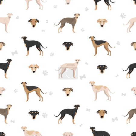 Téléchargez les photos : Polonais Greyhound motif sans couture. Toutes les couleurs de manteau ensemble. Toutes les races de chiens caractéristiques infographie. Illustration vectorielle - en image libre de droit