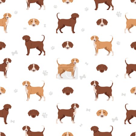 Illustration for Posavac Hound seamless pattern. All coat colors set.  All dog breeds characteristics infographic. Vector illustration - Royalty Free Image