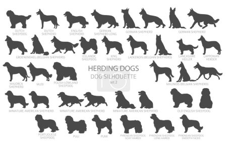 Illustration for Dog breeds silhouettes simple style clipart. Herding dogs, sheepdog, shepherds collection.  Vector illustration - Royalty Free Image