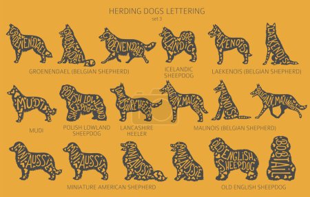 Dog breeds silhouettes with lettering, simple style clipart. Herding dogs, sheepdog, shepherds collection.  Vector illustration