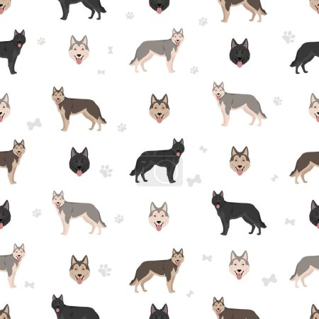 Illustration for Northern Inuit dog seamless pattern. All coat colors set.; All dog breeds characteristics infographic. Vector illustration - Royalty Free Image
