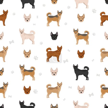 Illustration for Norwegian Lundehund seamless pattern. All coat colors set.; All dog breeds characteristics infographic. Vector illustration - Royalty Free Image