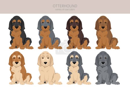 Ilustración de Clipart de cachorros Otterhound. Distintas poses, colores del abrigo establecidos. Ilustración vectorial - Imagen libre de derechos