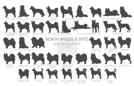 Illustration for Dog breeds silhouettes simple style clipart. North breeds and Spitz collection.  Vector illustration - Royalty Free Image