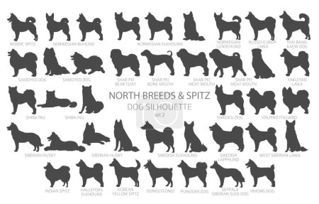 Dog breeds silhouettes simple style clipart. North breeds and Spitz collection.  Vector illustration