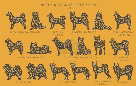 Illustration for Dog breeds silhouettes with lettering, simple style clipart. North dogs and Spitz collection.  Vector illustration - Royalty Free Image