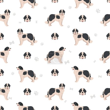 Illustration for Landseer dog seamless pattern. Different coat colors set.  Vector illustration - Royalty Free Image