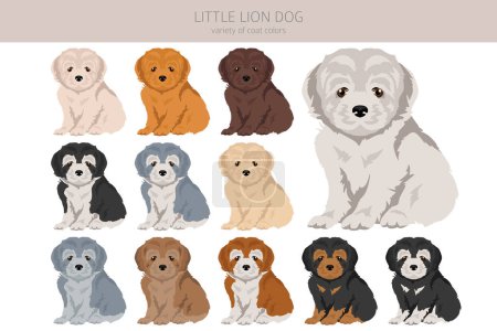 Illustration for Little Lion dog puppy clipart. Different poses, coat colors set.  Vector illustration - Royalty Free Image