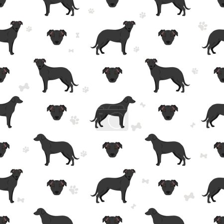 Illustration for Majorca Shepherd dog seamless pattern. All coat colors set.  All dog breeds characteristics infographic. Vector illustration - Royalty Free Image