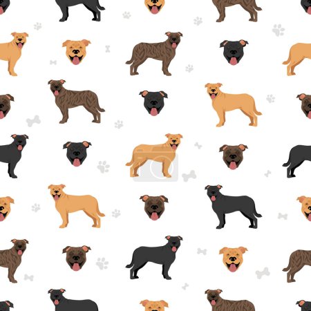Illustration for Majorcan Mastiff seamless pattern. All coat colors set.  All dog breeds characteristics infographic. Vector illustration - Royalty Free Image