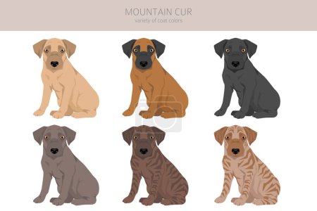 Illustration for Mountain Cur puppy clipart. Different poses, coat colors set.  Vector illustration - Royalty Free Image