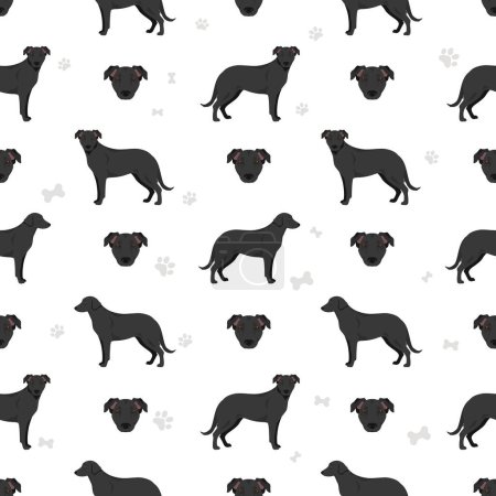 Téléchargez les photos : Majorque Shepherd chien motif sans couture. Toutes les couleurs de manteau ensemble. Toutes les races de chiens caractéristiques infographie. Illustration vectorielle - en image libre de droit