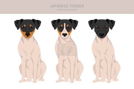 Japanese terrier clipart. Different poses, coat colors set.  Vector illustration