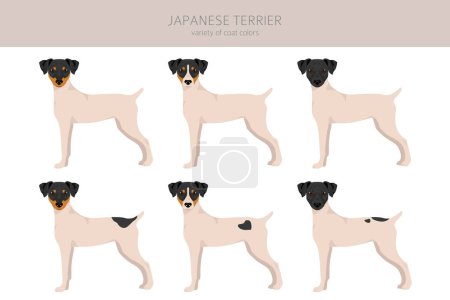 Japanischer Terrier Clipart. Verschiedene Posen, festgelegte Fellfarben. Vektorillustration