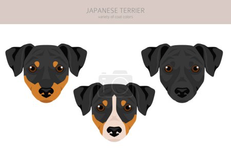 Japanischer Terrier Clipart. Verschiedene Posen, festgelegte Fellfarben. Vektorillustration